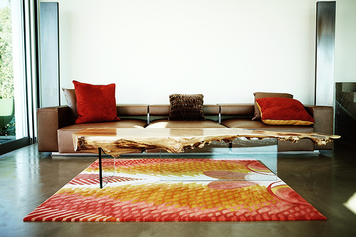 http://www.therugboutique.com/wp-content/uploads/2010/11/area-rugs-for-home-1.jpg
