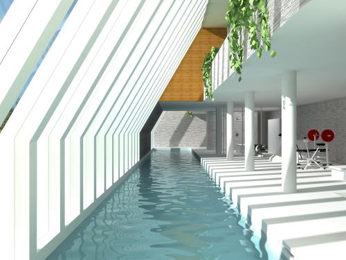 http://carpettheworld.org/wp-content/uploads/2011/06/indoor-swimming-pool-design-inspirations-4.jpeg